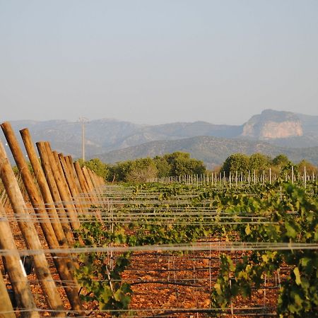 Weingut & Landhotel Can Davero Binissalem Luaran gambar