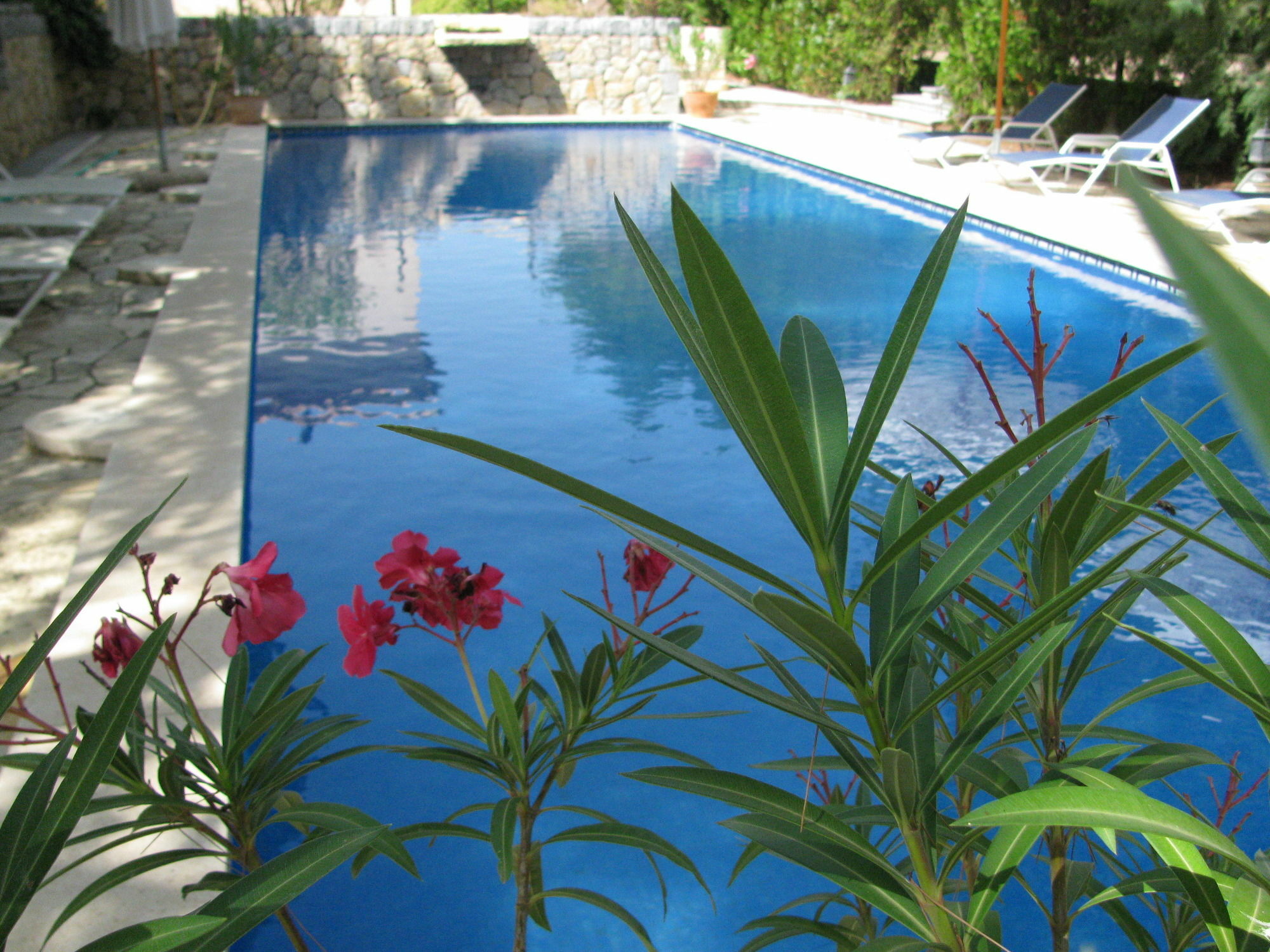Weingut & Landhotel Can Davero Binissalem Luaran gambar