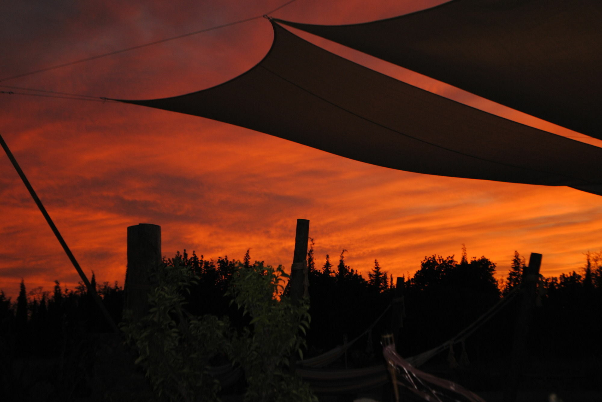 Weingut & Landhotel Can Davero Binissalem Luaran gambar